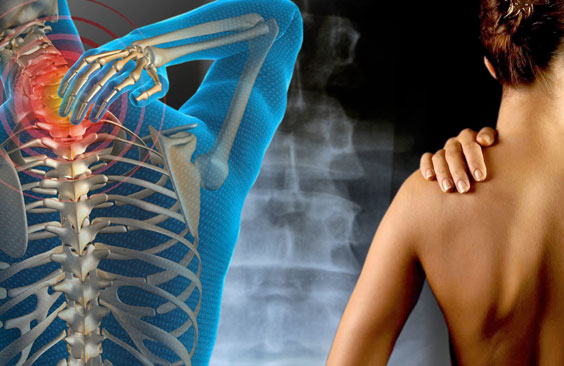 Prevención enfermedades osteomusculares